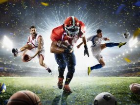 Нишевые виды спорта: как научиться выбирать выигрышные прогнозы
